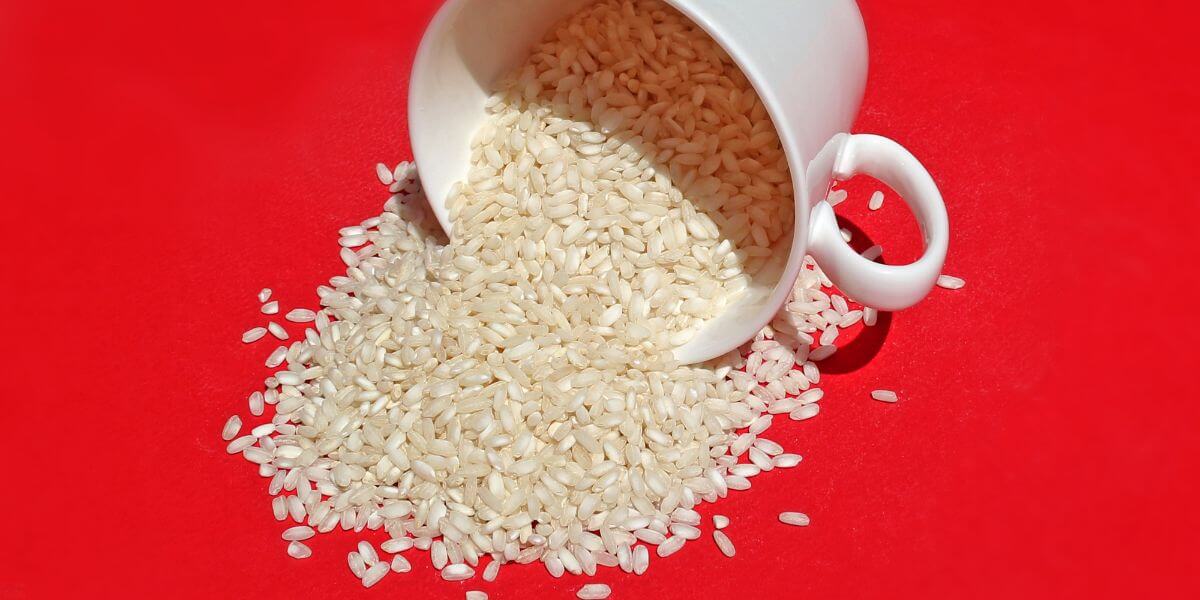 I Offer You True Wealth Beyond Credit