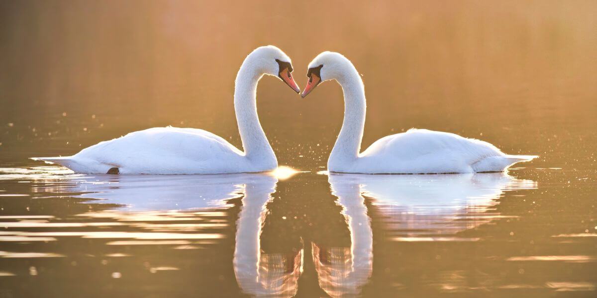 My Love Forms Unbreakable Bonds