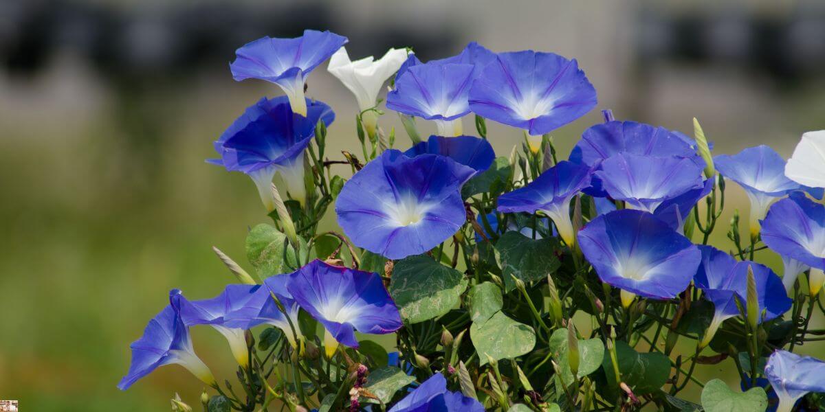 Using Wealth for My Glory